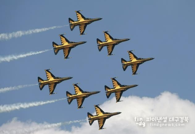 2024 예천곤충축제 ‘블랙이글스’ 에어쇼