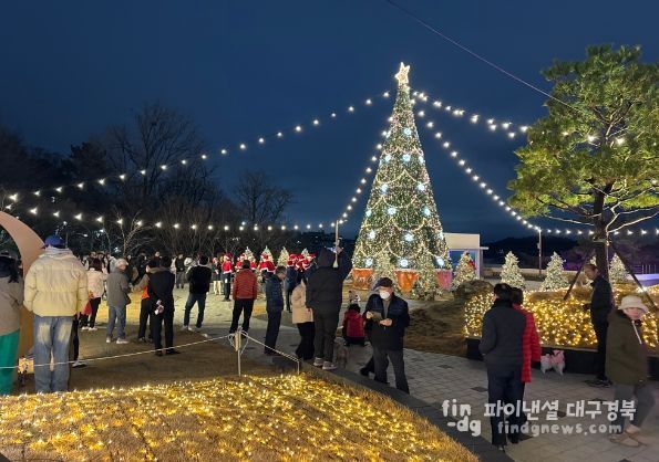 앞산빨래터공원, 10M 대형 트리 점등!