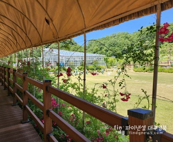 친환경생태공원 장미로 화사한 여름 단장
