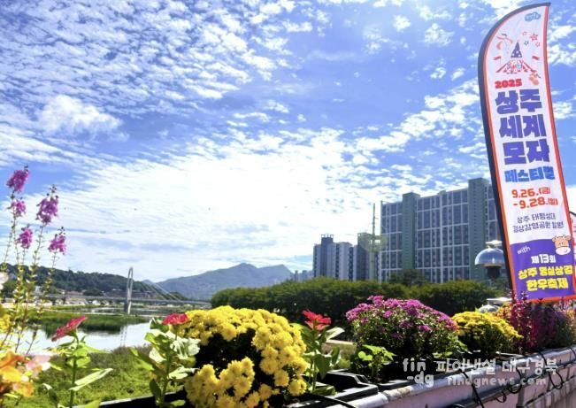 상주시, 자체 양묘장에서 생산된 꽃모로 축제와 도심 경관 물들인다