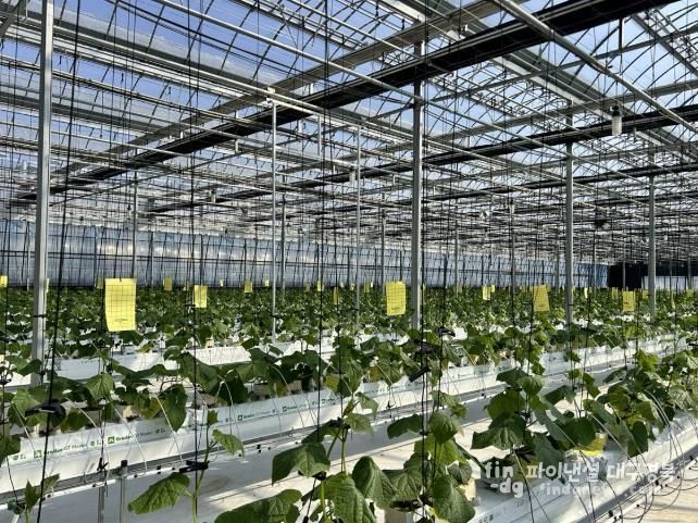 상주시, 농업 현장 맞춤 낮은단계 스마트팜, 실증연구 시작