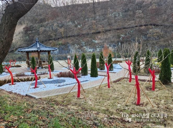 의성군, 겨울철 대비 가로수 수목 보호대 설치로 월동 준비 완료