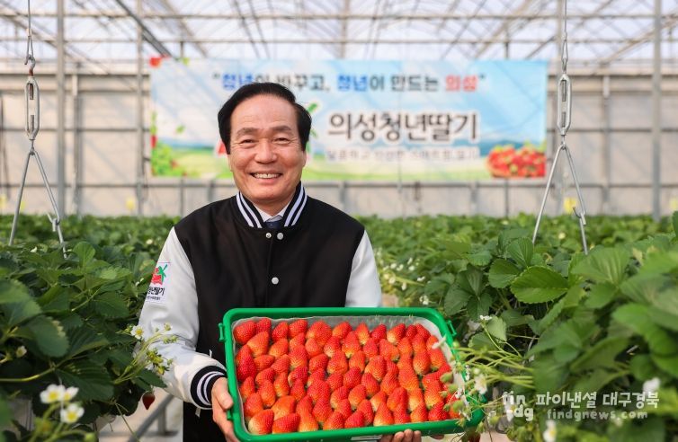 스마트팜 청년딸기