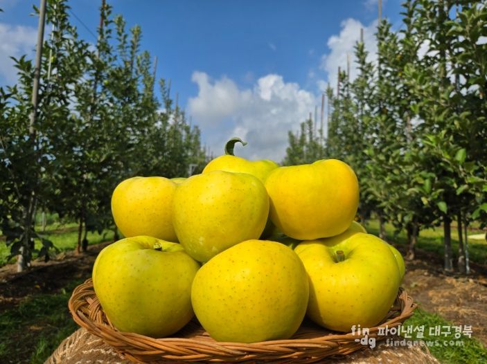 군위군, 농림축산식품부 스마트과수원특화단지조성 공모사업 최종 선정