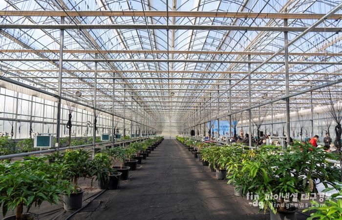 영천 아열대 스마트팜단지, 미래농업 거점으로 본격 가동