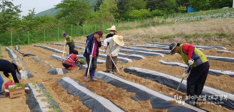 체류형농업창업지원센터 텃밭에서 교육생들이 실습하는 모습