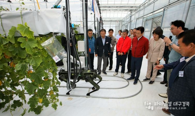 참외 산업 혁신 성과 주목!