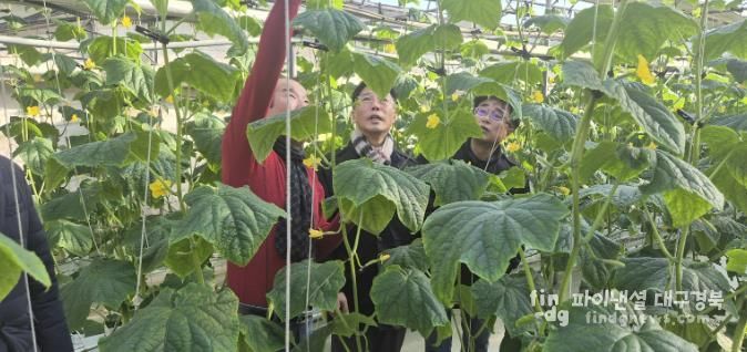 상주시, 새해 농사의 시작을 알리는 1월 시설 하우스 방문