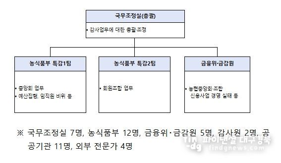 정부합동 특별감사반 구성 및 인원