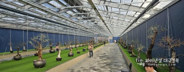 한국선비매화공원 분매원에 매화 분재들이 전시된 모습