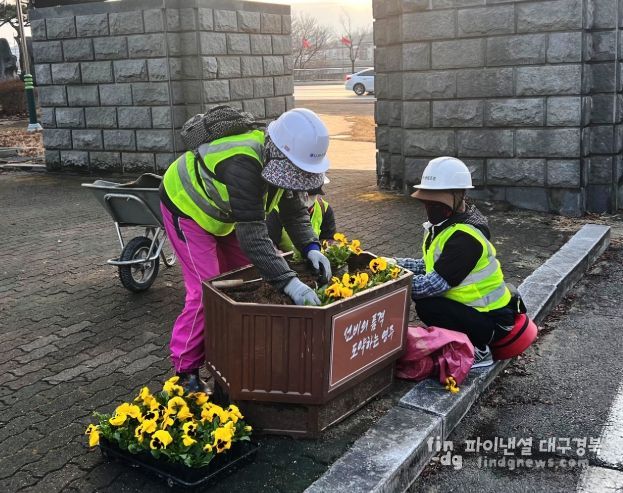 도심 거리 노란 팬지로 봄맞이 꽃단장