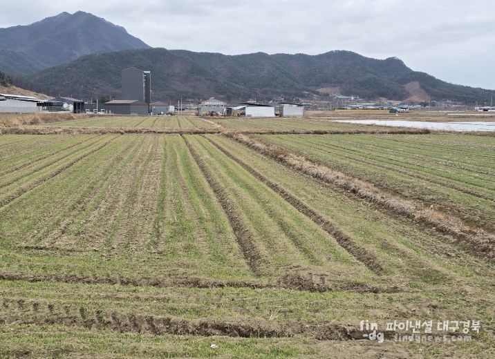 봄철 맥류 관리 ‘골든타임’…구미시, 현장 기술지원 강화배수로