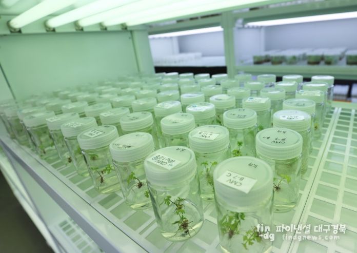 산림약용자원 연구