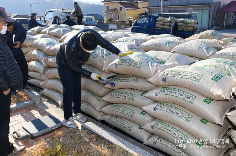 벼수매 검수하는 모습