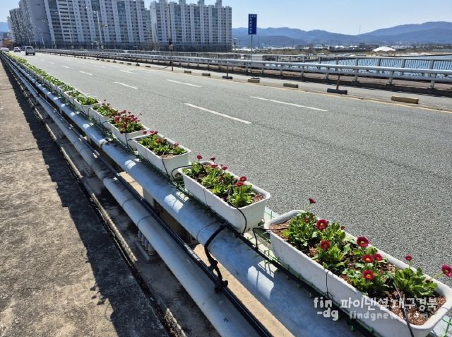 연일대교 교량 난간 화분에 식재된 봄꽃