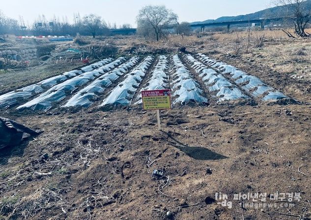 대구 북구, 금호강 불법행위 행정대집행 실시