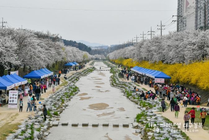 벚꽃과 함께하는 시민 어울림 한마당’