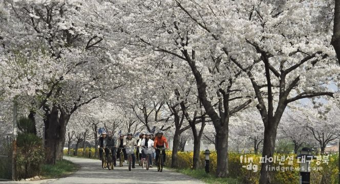 상주시청 공직자들, 자전거 출퇴근으로 에너지 절약 실천