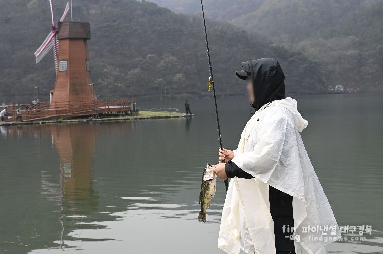 달성군 옥연지 생태계교란종 퇴치 행사